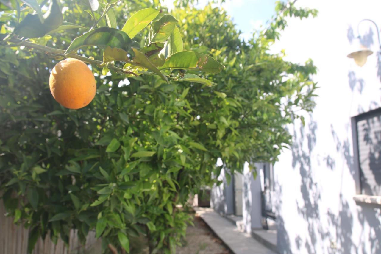 Habait Ba Shomera Exterior foto